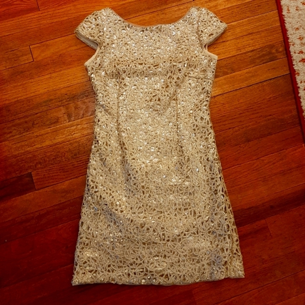 Adrianna Papell Sequin dress